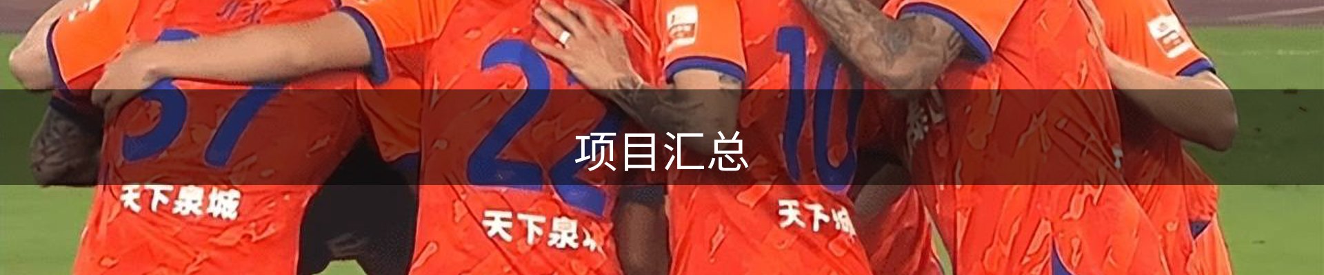 项目汇总